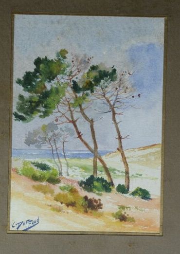 C. DUFFAUD. 
Paysages landais.
Deux aquarelles.
Signées...