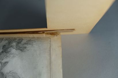 Travail français, milieu XIXe siècle
La Chahutée...