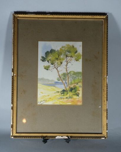 C. DUFFAUD. 
Paysages landais.
Deux aquarelles.
Signées...