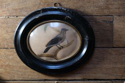 École naïve, vers 1880. 
Oiseau sur un branchage....