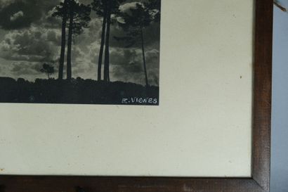 Émile VIGNES (1896-1983). 
Ensemble de trois...