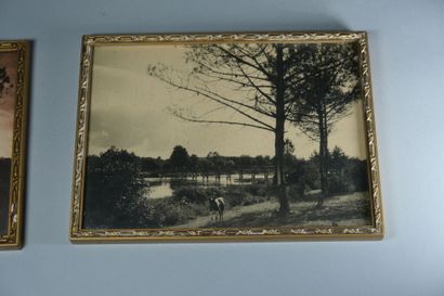 Émile VIGNES (1896-1983). 
Ensemble de 5...