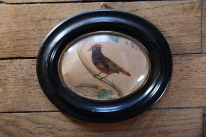 École naïve, vers 1880. 
Oiseau sur un branchage....