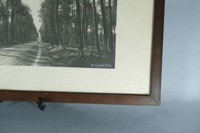 Émile VIGNES (1896-1983). 
Ensemble de trois...