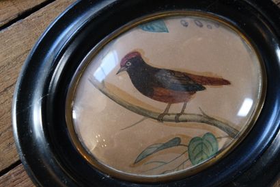 École naïve, vers 1880. 
Oiseau sur un branchage....