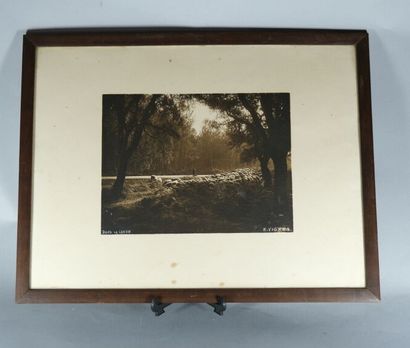 Émile VIGNES (1896-1983). 
Ensemble de trois...
