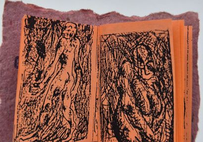 [MINUSCULE]KEROZEN. 2 graphzines : Viande...