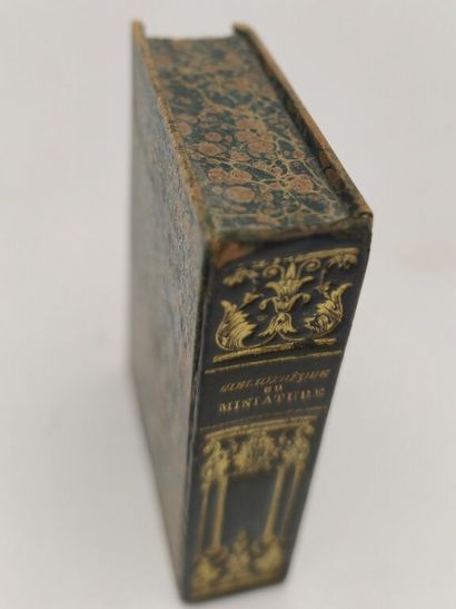 [MINUSCULE]. Bibliothèque en miniature :...