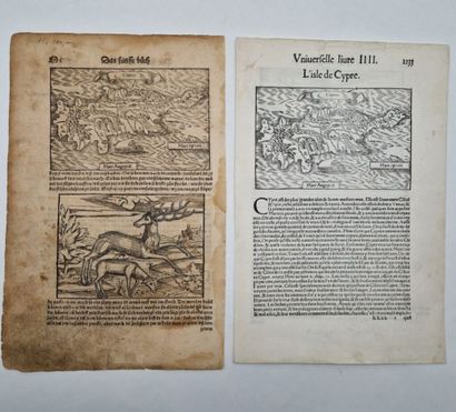 [CHYPRE]. Deux cartes de l'île par Sebastian...