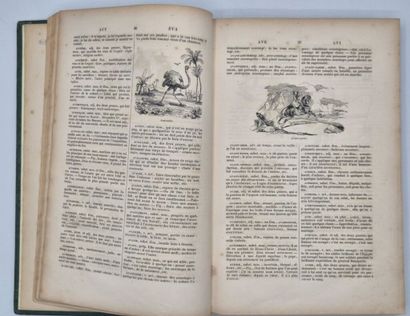 [DAUMIER]. Vocabulaire des enfants, dictionnaire...