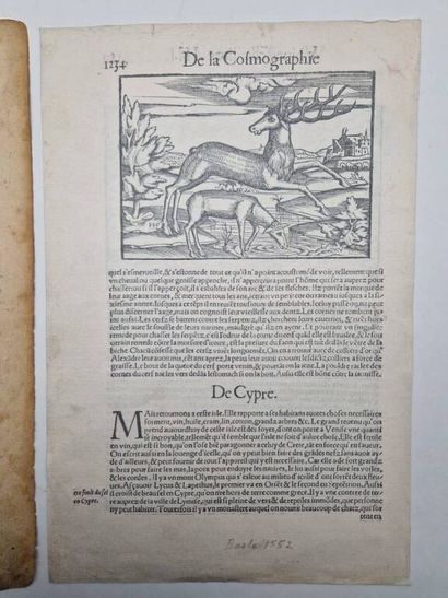 [CHYPRE]. Deux cartes de l'île par Sebastian...