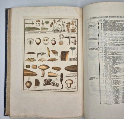 BULLIARD, Pierre. Dictionnaire élémentaire...