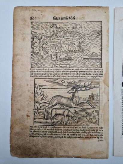 [CHYPRE]. Deux cartes de l'île par Sebastian...