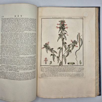BULLIARD, Pierre. Dictionnaire élémentaire...