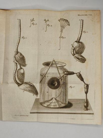 SAUSSURE, Horace Bénédict de. Observations...