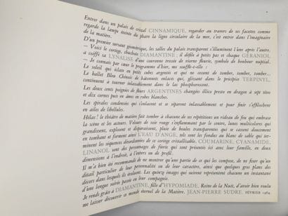 SUDRE, Jean-Pierre. Diamantine.

Edition...