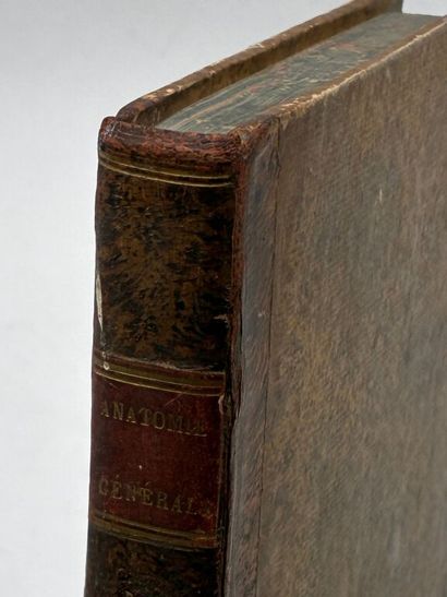 [MANUSCRIPT - VETERINARY ANATOMY]. “General...