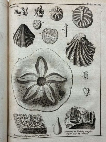 [AFRIQUE DU NORD] SHAW, Thomas. Voyages de...