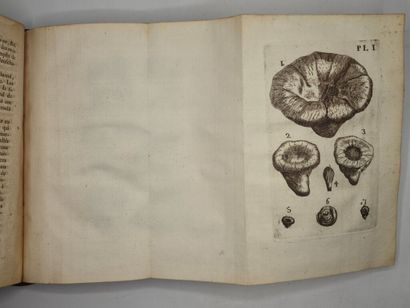 [BOURGET, Louis]. Traité des pétrifications.

Édition...