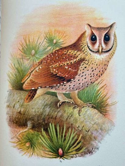 [INDOCHINA - ORNITHOLOGY]. DELACOUR, Jean,...