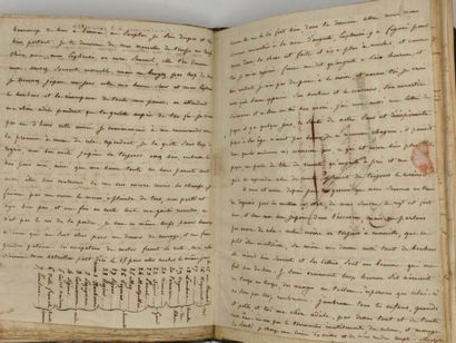 [MANUSCRIPT - NAPOLEON] GAUVILLE, Adolphe...