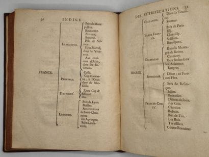 [BOURGET, Louis]. Traité des pétrifications.

Édition...