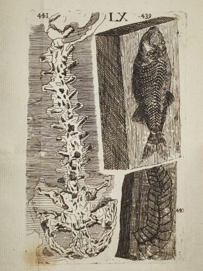 [BOURGET, Louis]. Traité des pétrifications.

Édition...