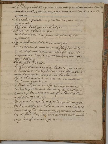 [MANUSCRIPT - EQUINE MEDICINE & FARRIERY]....
