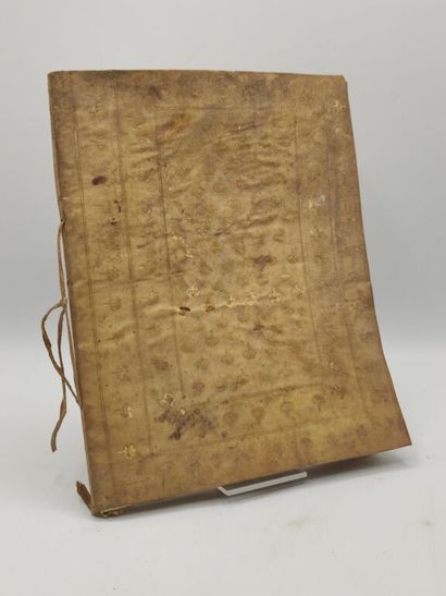 [MANUSCRIPT - EQUINE MEDICINE & FARRIERY]....
