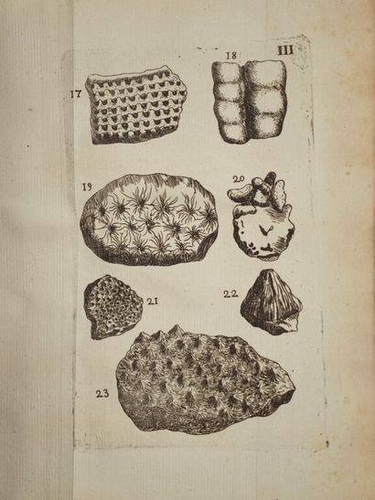[BOURGET, Louis]. Traité des pétrifications.

Édition...