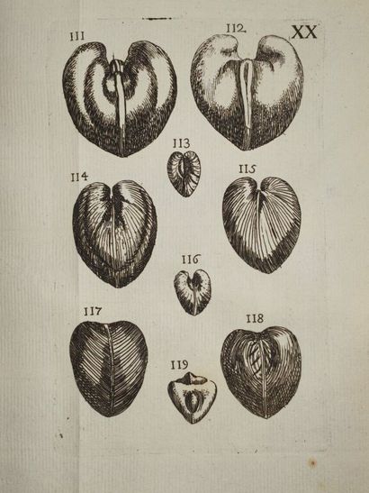 [BOURGET, Louis]. Traité des pétrifications.

Édition...