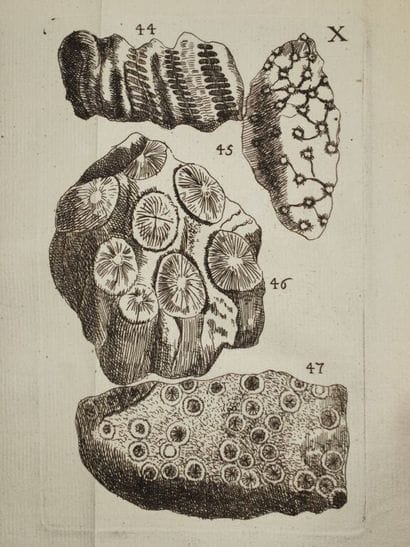 [BOURGET, Louis]. Traité des pétrifications.

Édition...