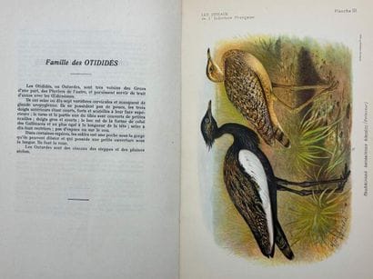 [INDOCHINA - ORNITHOLOGY]. DELACOUR, Jean,...