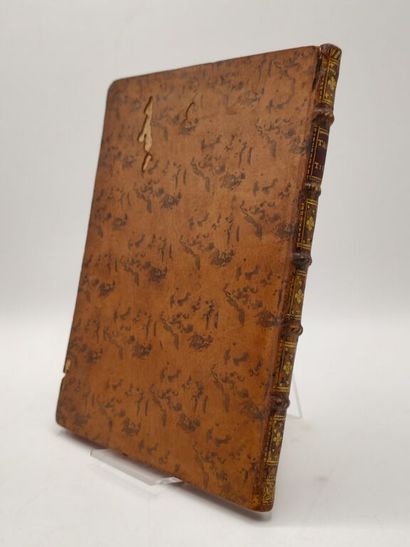 [MILITARIA - DELAURENS DE BEAUJEU]. Tactique...