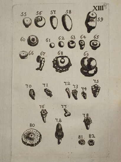[BOURGET, Louis]. Traité des pétrifications.

Édition...