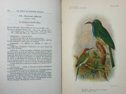 [INDOCHINA - ORNITHOLOGY]. DELACOUR, Jean,...