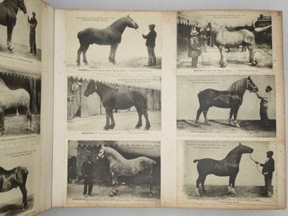 [HORSE RACING]. Handwritten and illustrated...