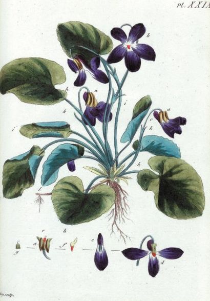 ROUSSEAU Jean-Jacques
OEuvres complètes....