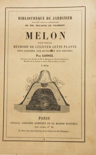 BOTANIQUE - LOISEL Le melon s.d. - THOMERY...