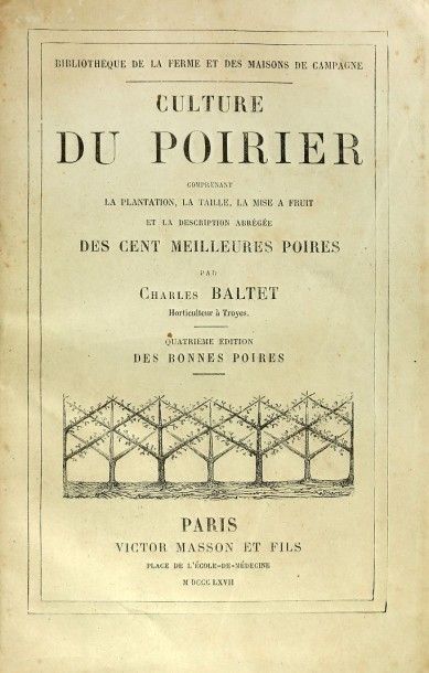 BOTANIQUE - BARTET (Ch.) Culture du poirier....