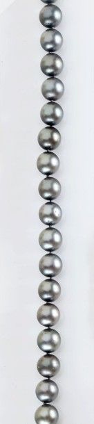 Collier de perles de Tahiti, dont une formant...