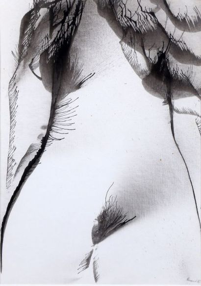 Albert FERAUD
Nu féminin, 1985 Encre signée...