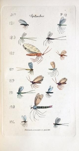 [POISSON] CARROLL (W.). The angler's vade...