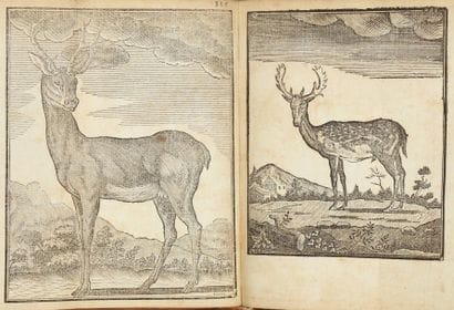 [AGRICULTURE] [CHASSE] [VIANDE] LE VERRIER...