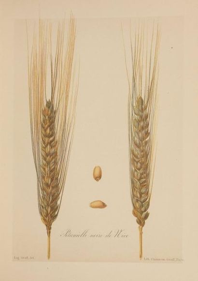 [AGRICULTURE] [CEREALES] VILMORIN (Henry...