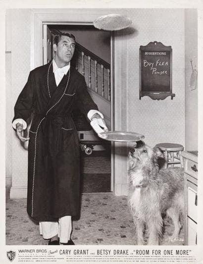 CETTE SACRÉE FAMILLE/ ROOM FOR ONE MORE Cary...