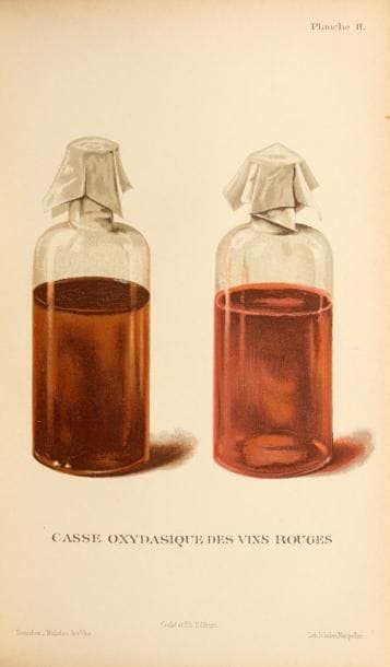 [VIN] SEMICHON (Lucien). Traité des Maladies...