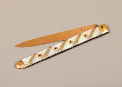 [RECETTES] Couteau pliant à fruit, lame en...