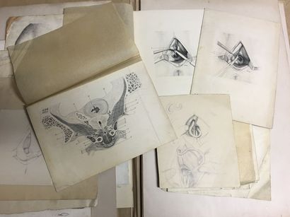 [Anatomie] [Chirurgie]. Fort lot de dessins...