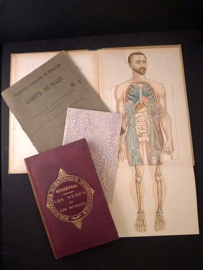 [Anatomie]. Ensemble de 4 ouvrages.

- ROSENTHAL...